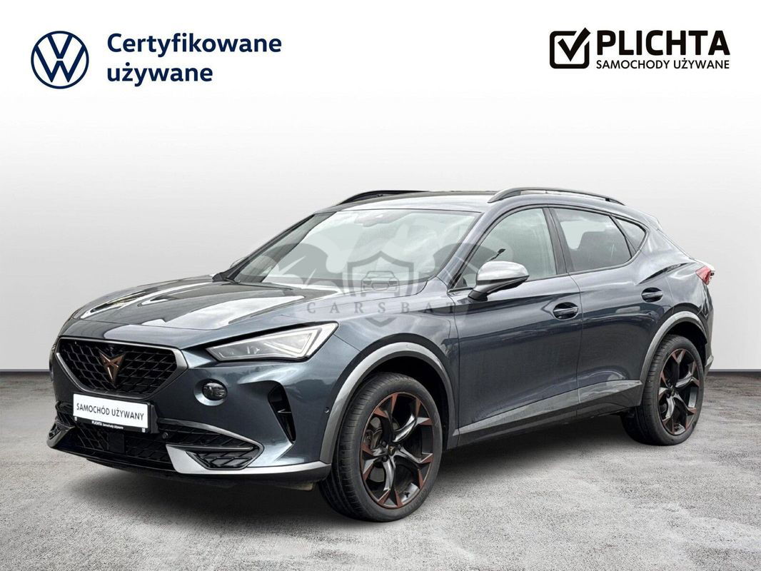Cupra Formentor 2.0 TSI 4Drive DSG 2023