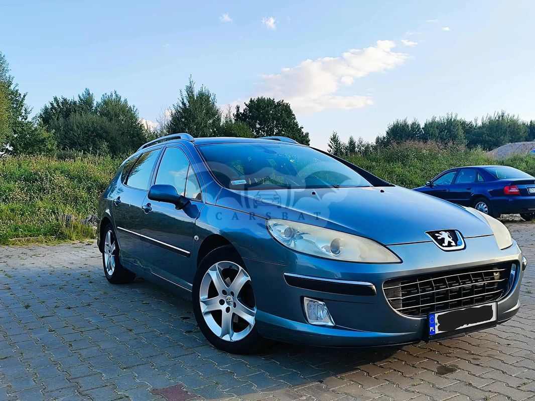 Peugeot 407 2007