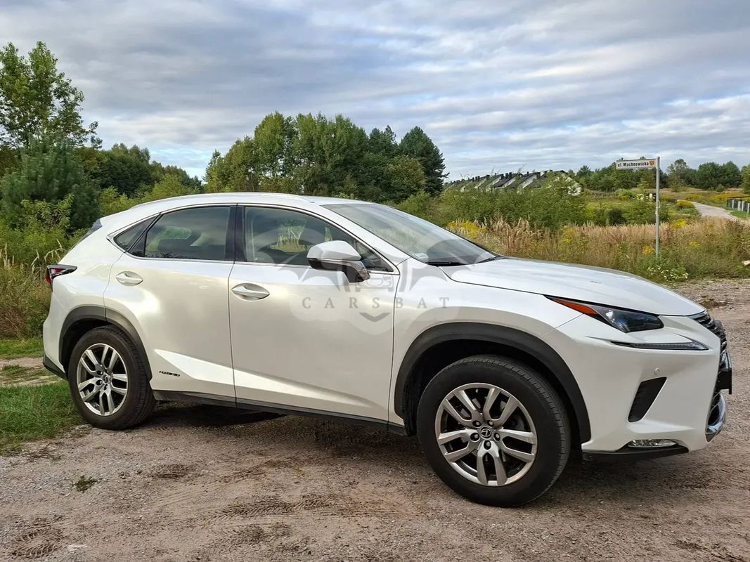 Lexus NX I 300h Business Edition AWD 2020