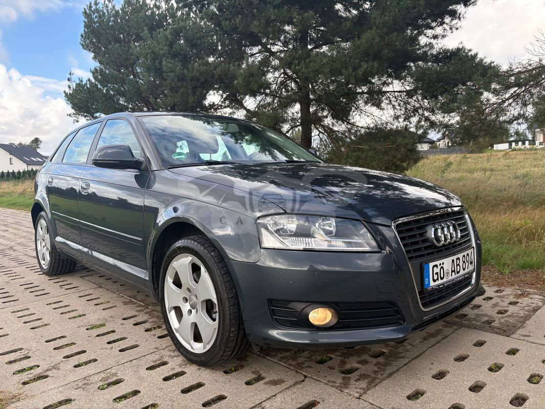 Audi A3 8P ver-1-9-tdi-attraction 2009