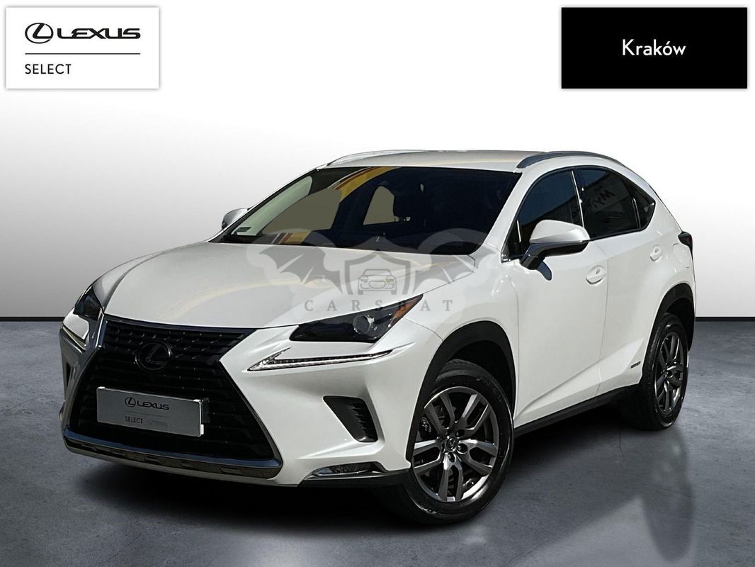 Lexus NX I 300h Business Edition AWD 2019