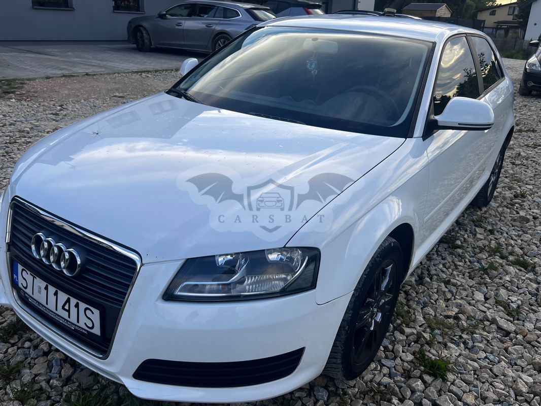Audi A3 8P 1.6 Attraction 2010