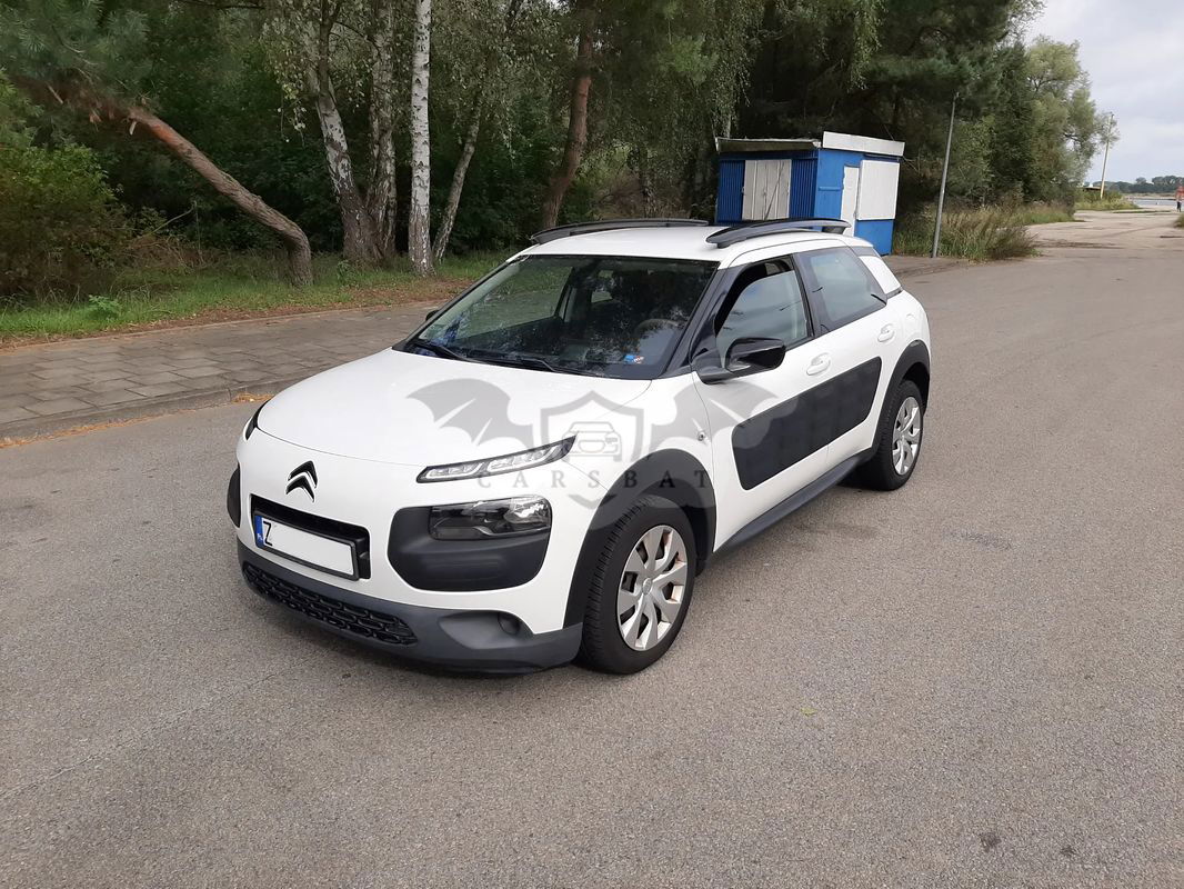 Citroën C4 Cactus 1.2 PureTech Feel Elite 2015