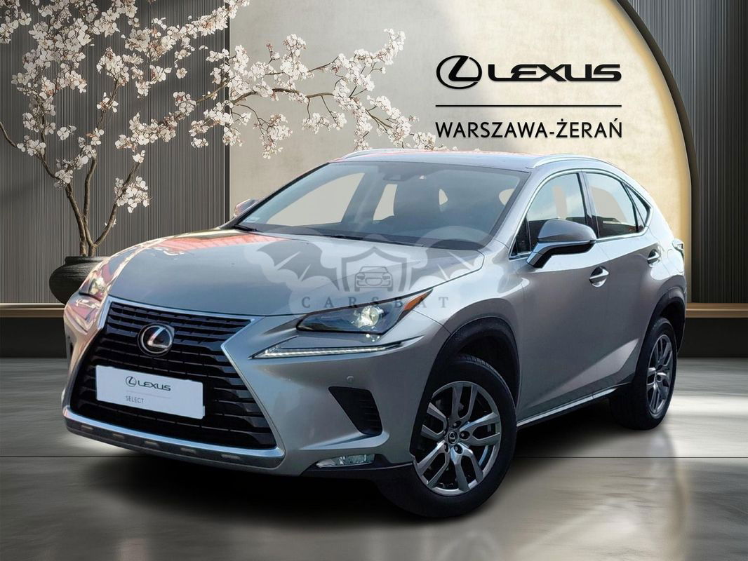 Lexus NX I 300 Optimum AWD 2019