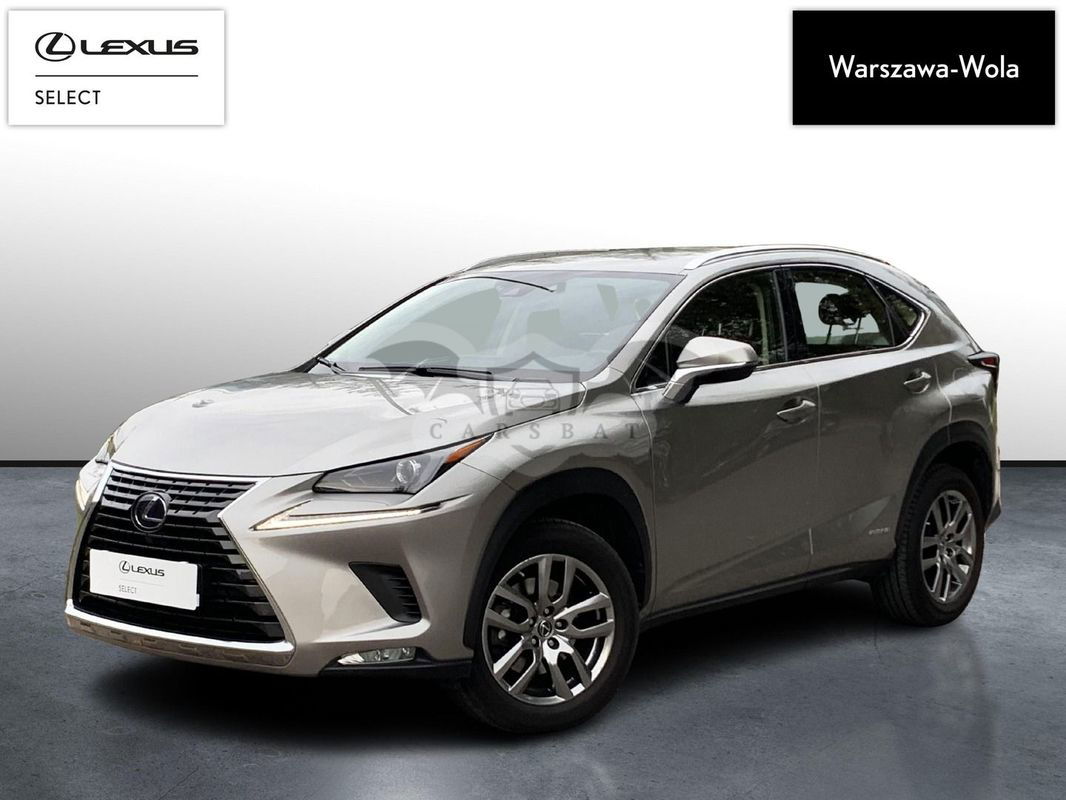 Lexus NX I 300h Business Edition AWD 2020