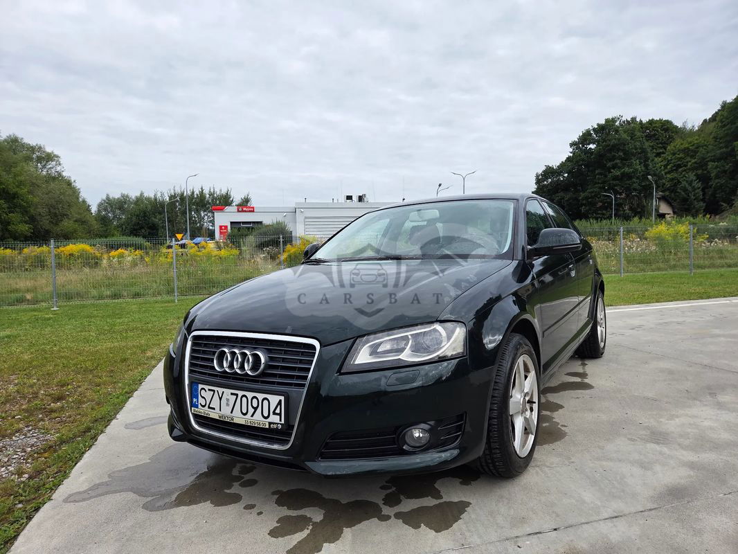 Audi A3 8P 2009