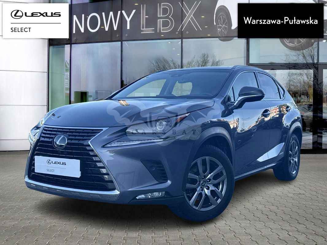Lexus NX I 2019