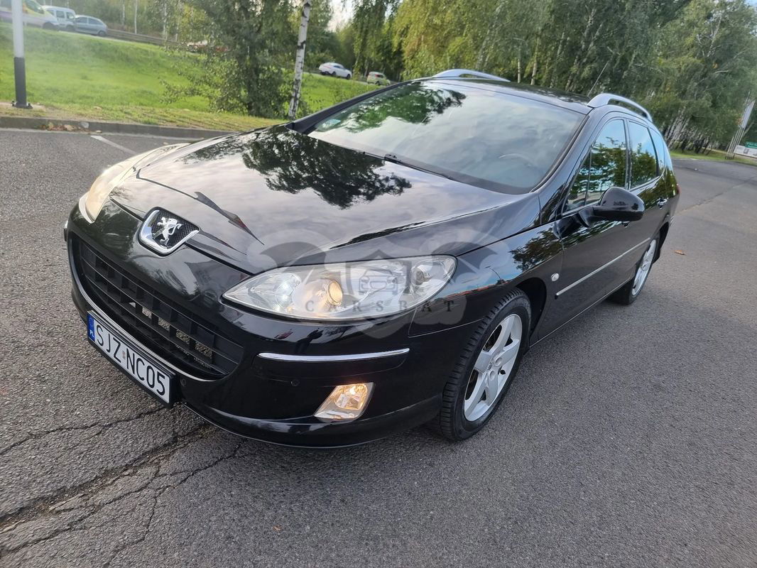 Peugeot 407 2009