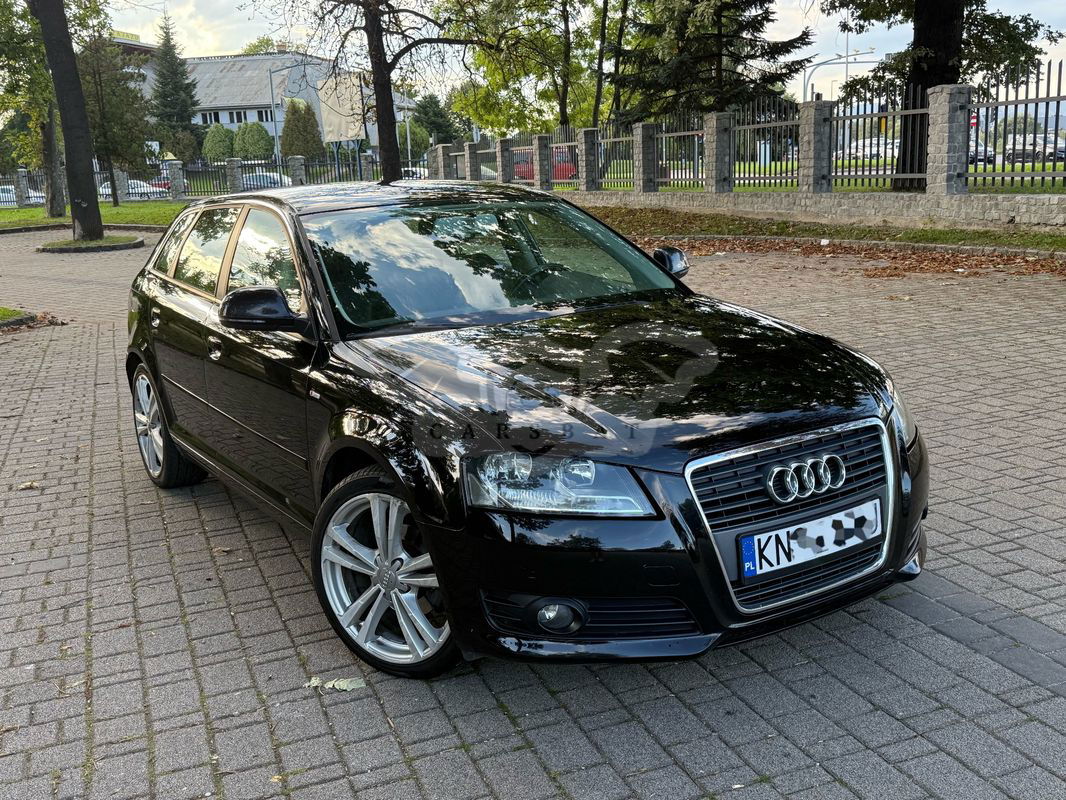 Audi A3 8P 1.6 TDI DPF Ambition 2010