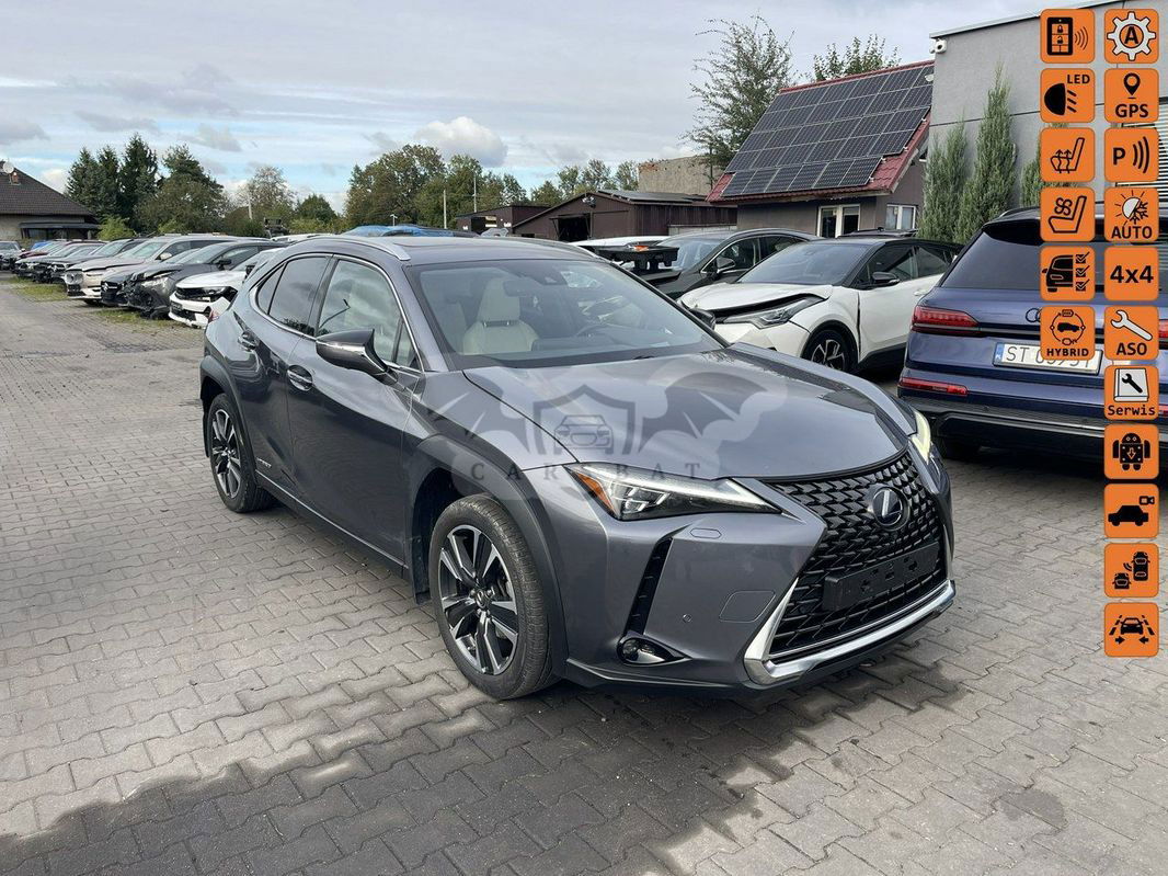 Lexus UX 250h GPF Elegance AWD 2020