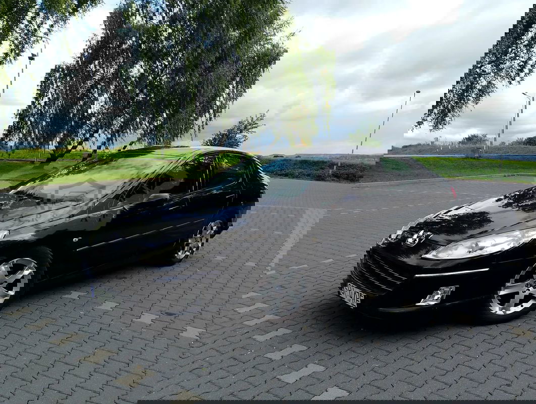 Peugeot 407 2005