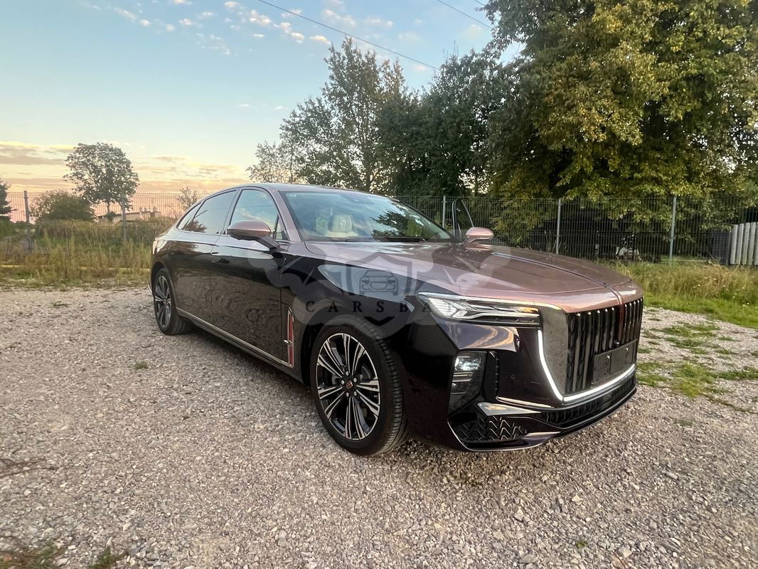 Hongqi H9 2.0T Deluxe 2024