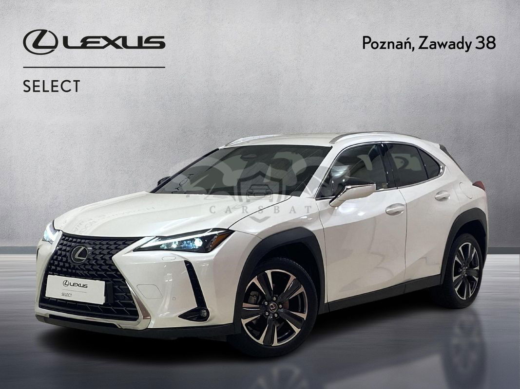 Lexus UX 300h Business 2024
