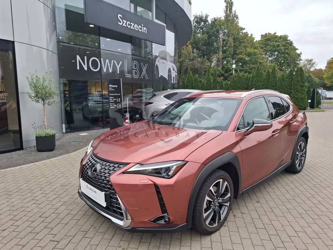 Lexus UX 300h Business 2024