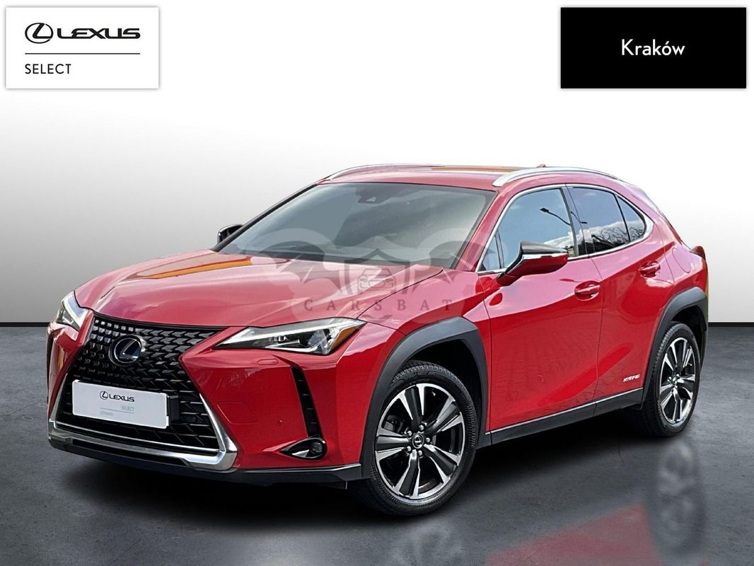 Lexus UX 250h GPF Business Edition 2WD 2022