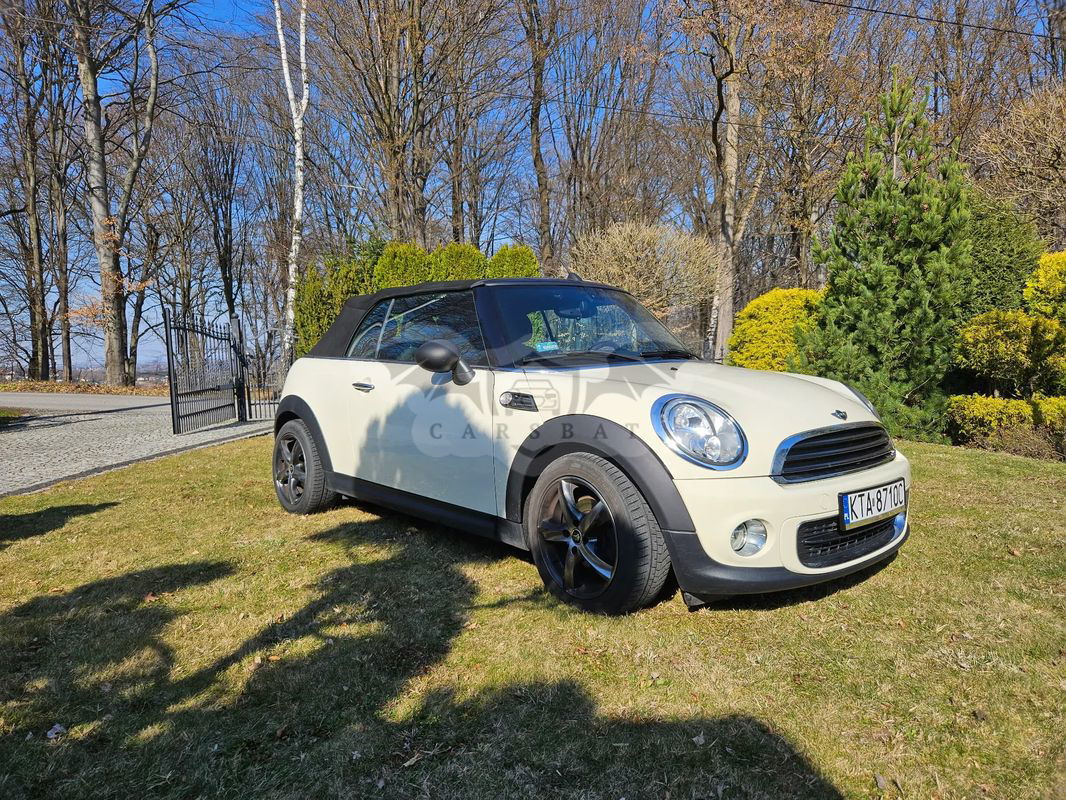 Mini One 2013