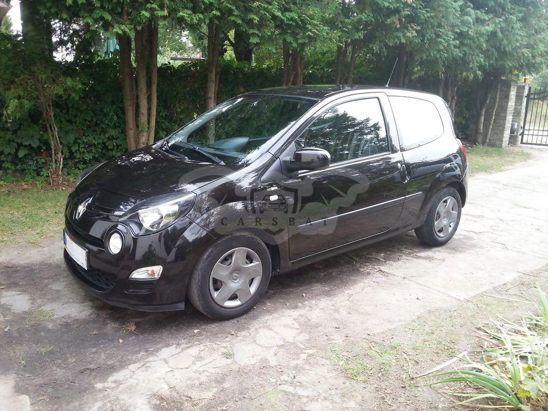 Renault Twingo II 1.2 16V Eco Night&Day 2014
