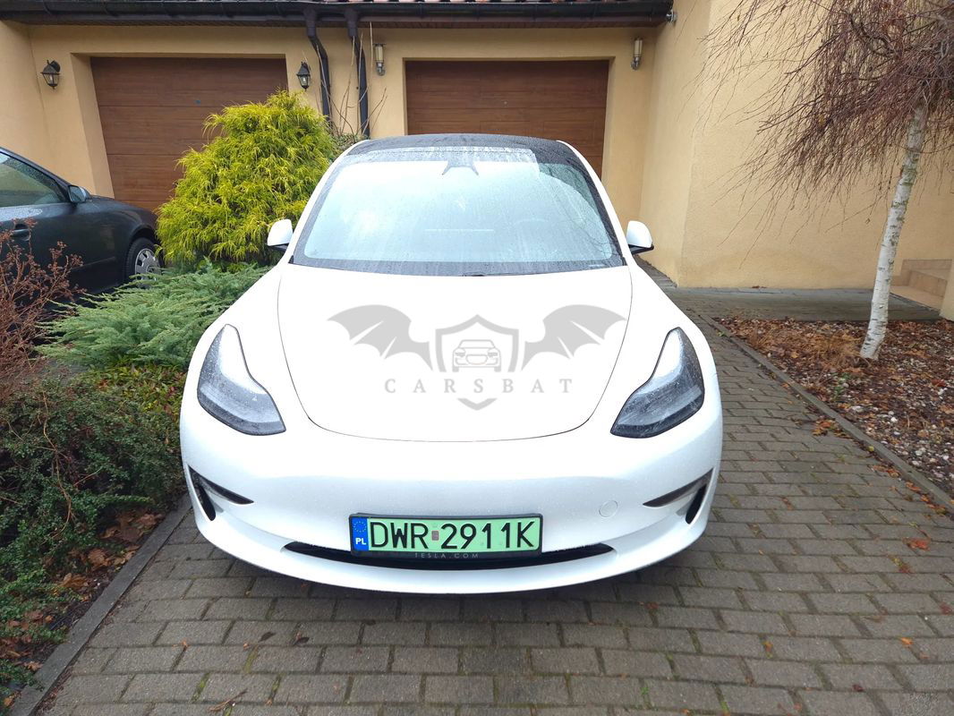 Tesla Model 3 Long Range AWD 2021