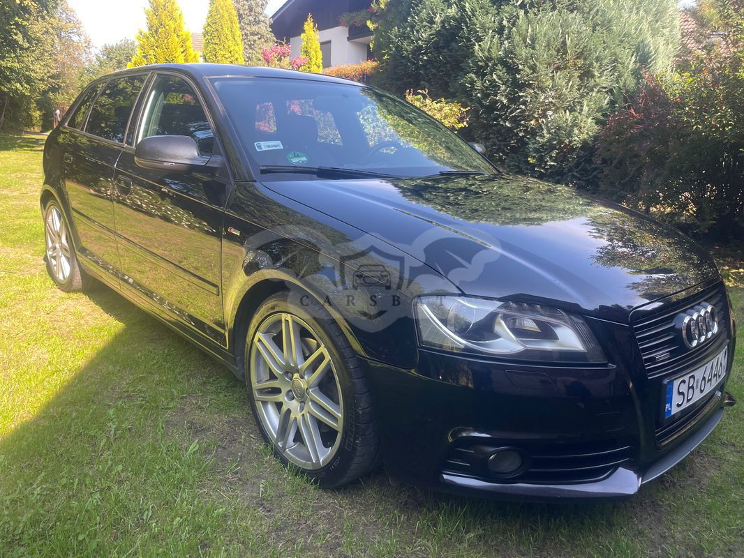 Audi A3 8V 2.0 TDI DPF quattro S line Sportpaket 2012