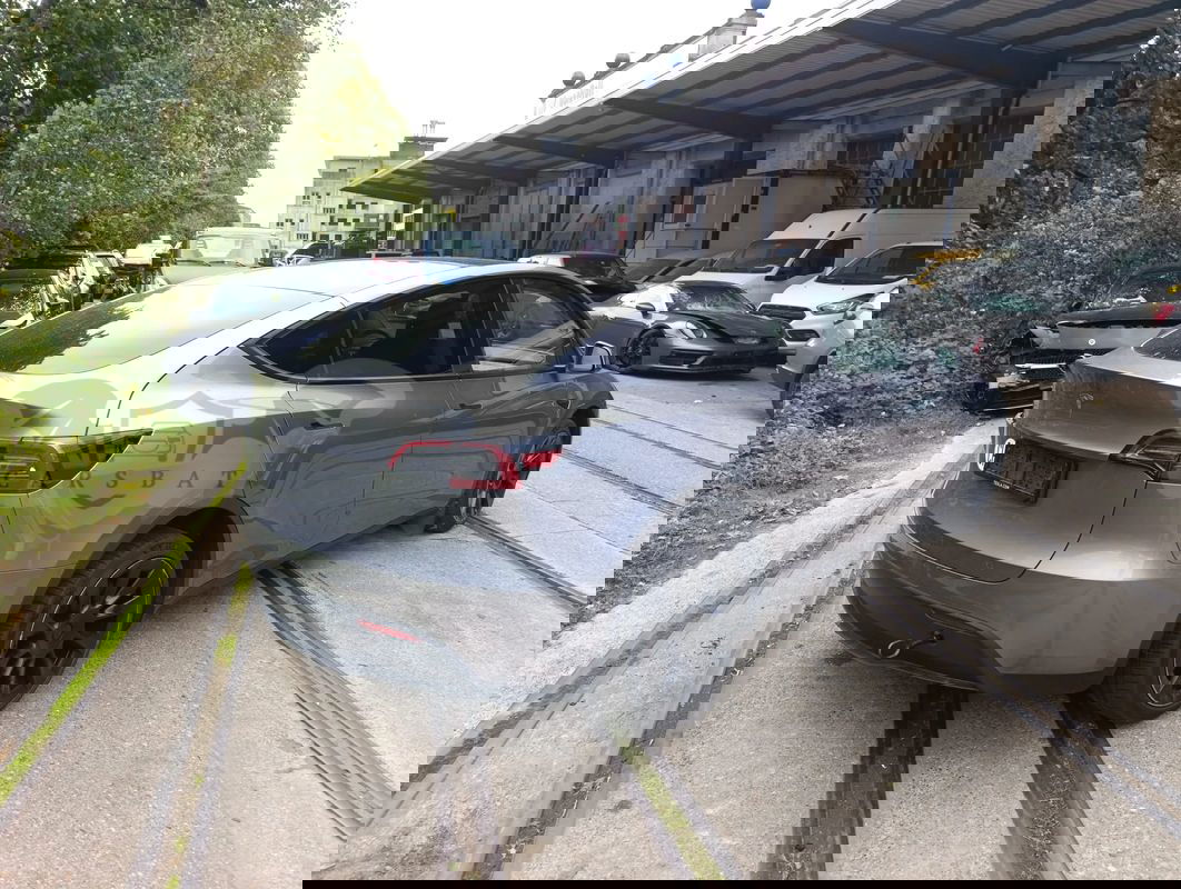 Tesla Model Y Model RWD 2024