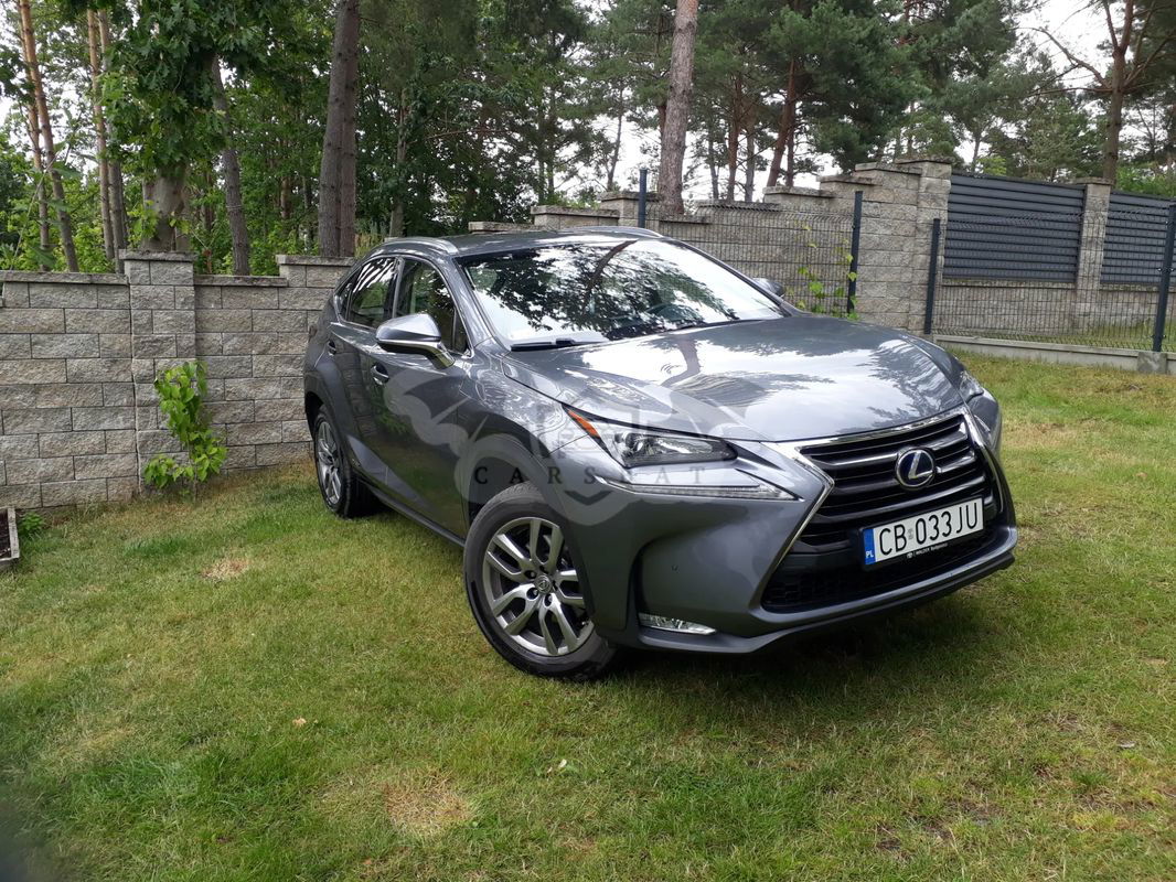 Lexus NX 2014
