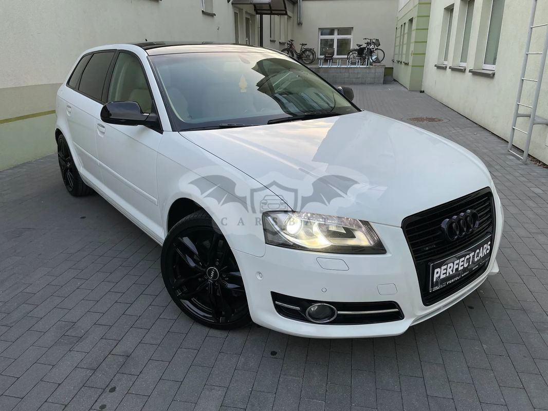 Audi A3 8P 2.0 TDI DPF Quattro Ambition 2010