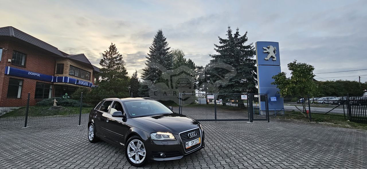 Audi A3 8P 1.6 TDI DPF Ambition 2009