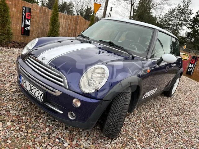 Mini One salt 2004