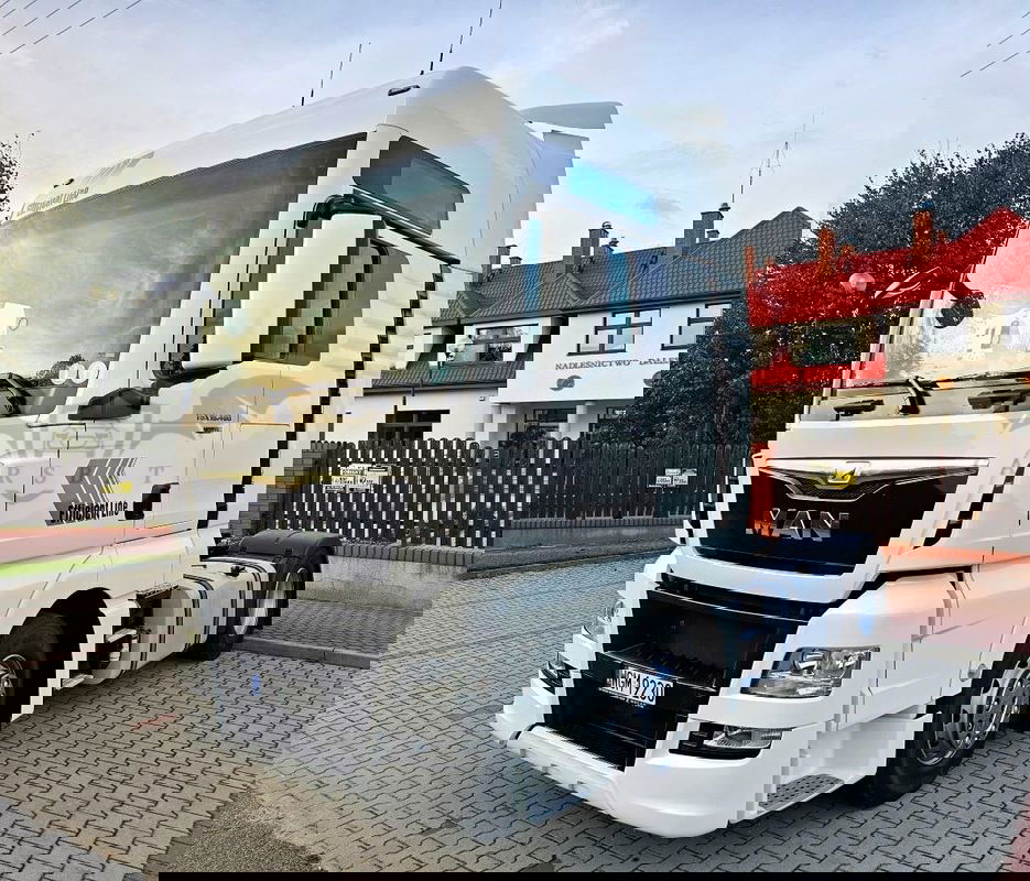 MAN TGX 2017