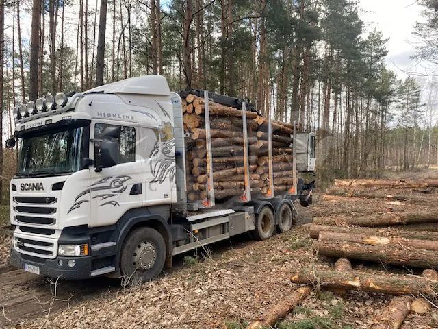 Scania R-series 2014