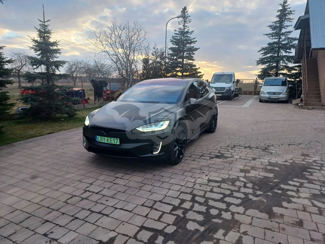 Tesla Model X Performance 2020