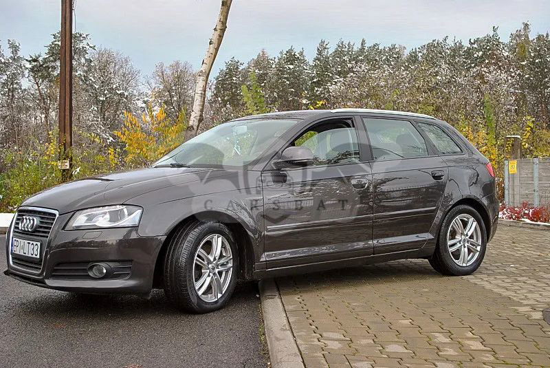 Audi A3 8P 2010