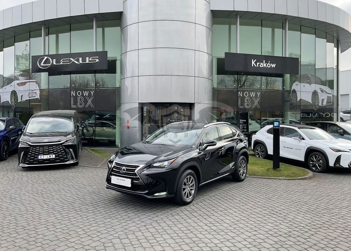 Lexus NX I 2014