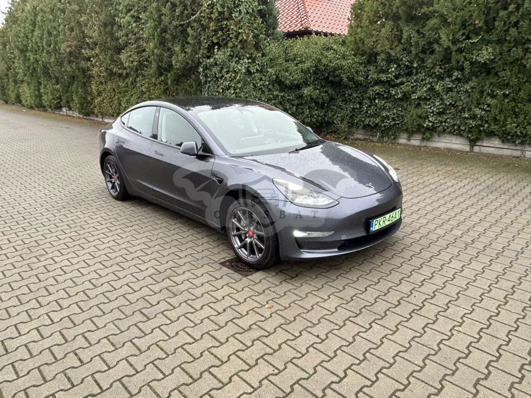 Tesla Model 3 RWD Hinterradantrieb 2022