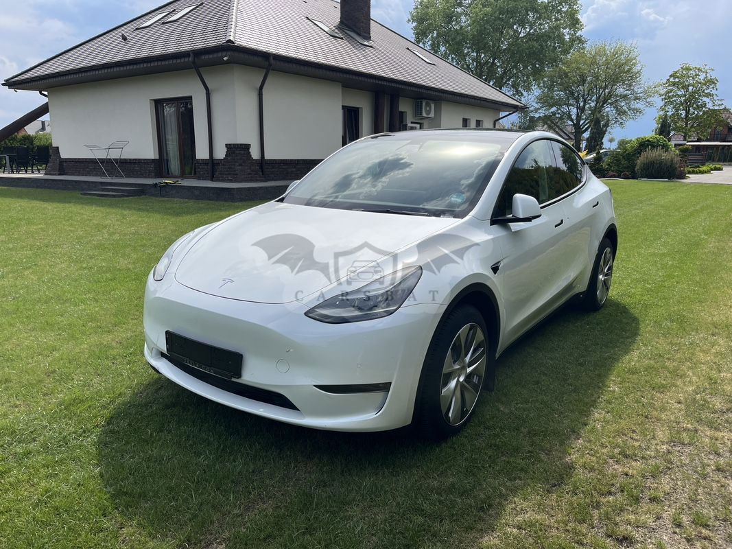 Tesla Model Y Model RWD 2022