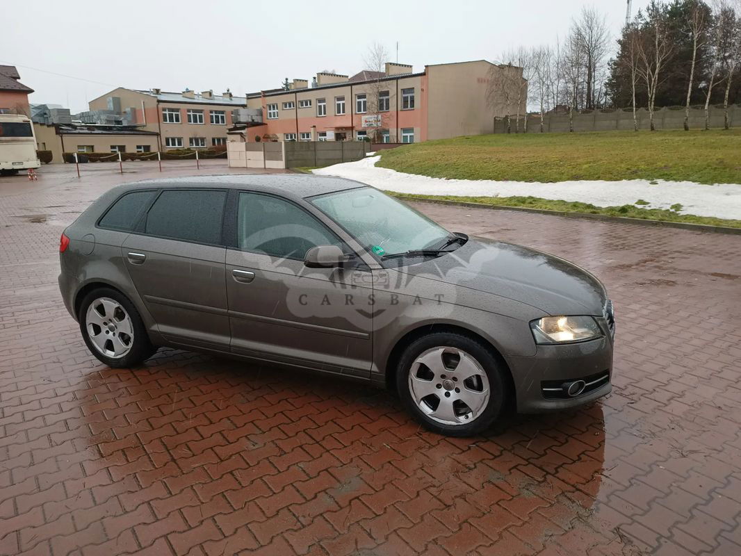 Audi A3 8P 2.0 TDI DPF Ambiente 2010