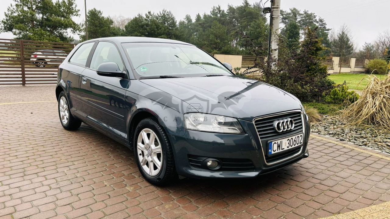 Audi A3 8P 1.9 TDI DPF Ambition 2009
