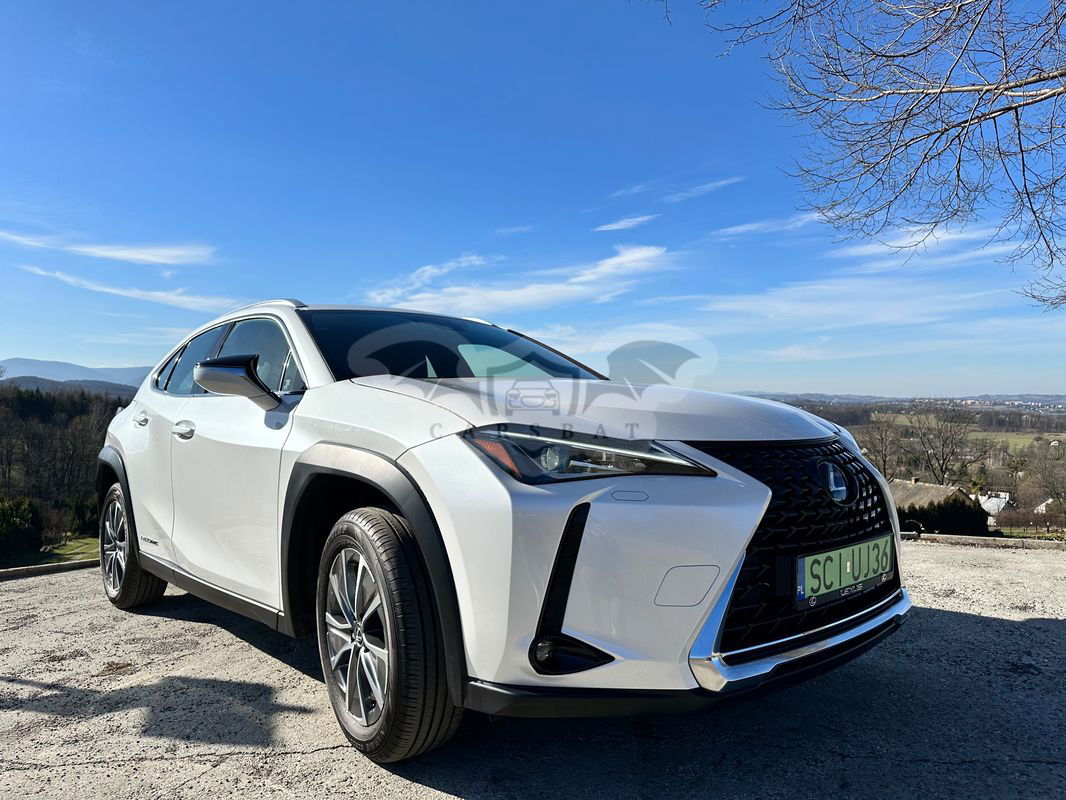 Lexus UX 300e 54.3 kWh Business Edition 2WD 2020