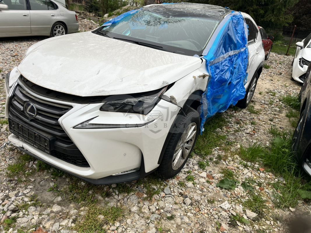 Lexus NX I 300h E-FOUR Executive-Line 2015