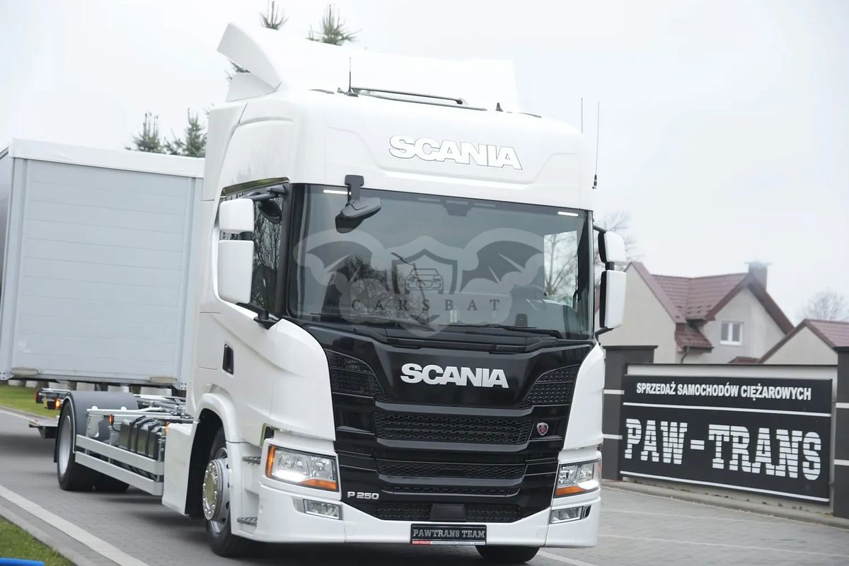 Scania P-series 2019