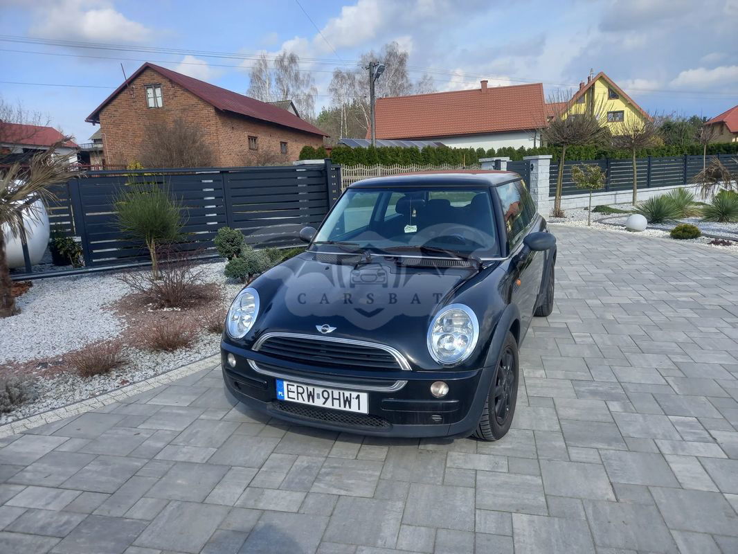 Mini One salt 2005