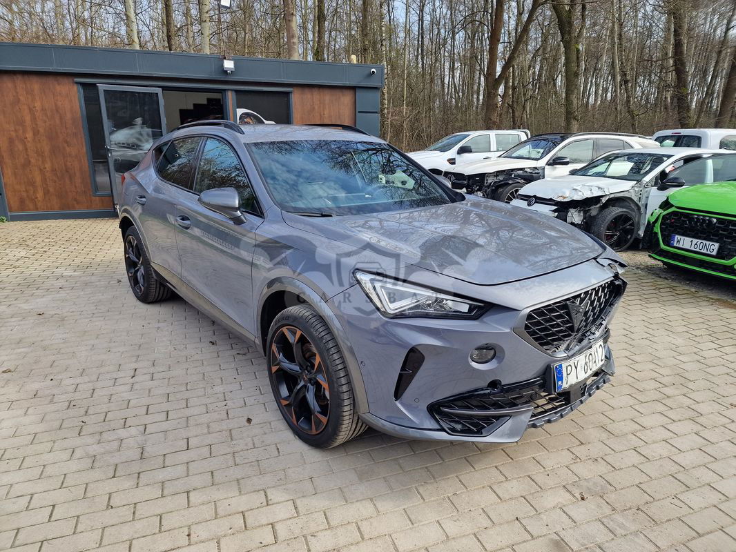 Cupra Formentor 2.0 TSI 4Drive DSG 2023