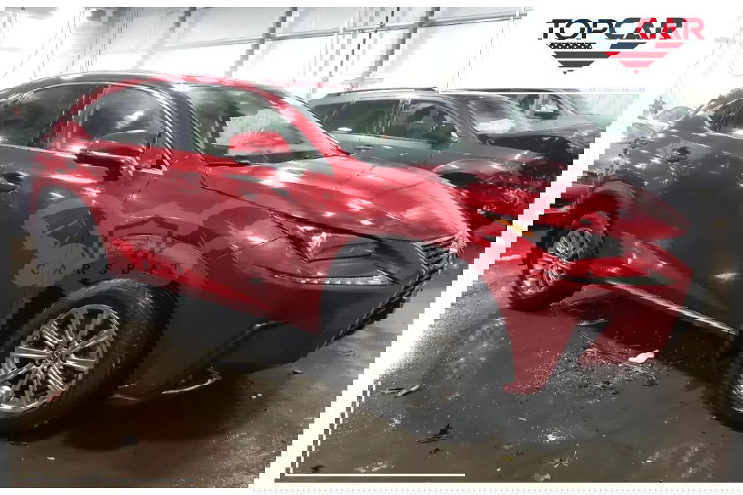 Lexus NX I 2020