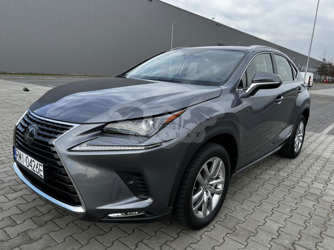Lexus NX II 2021