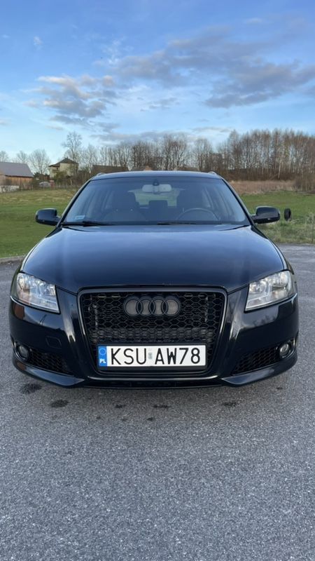 Audi A3 8P 1.6 TDI DPF Attraction 2010