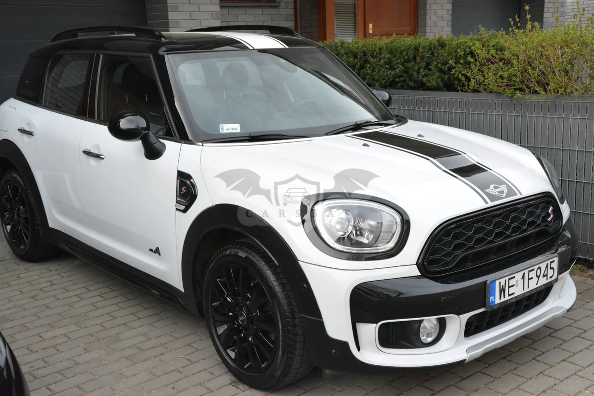 Mini Countryman Cooper S ALL4 sport 2019
