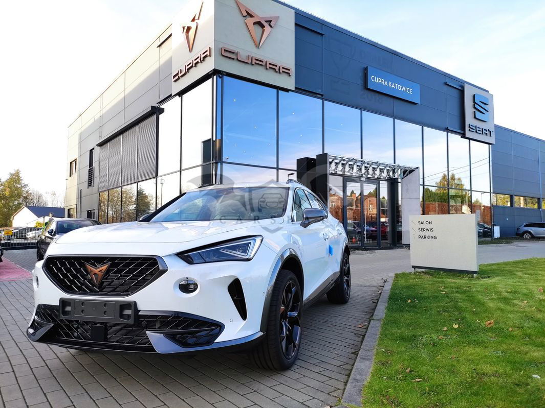 Cupra Formentor 2.0 TDI 4Drive DSG 2023