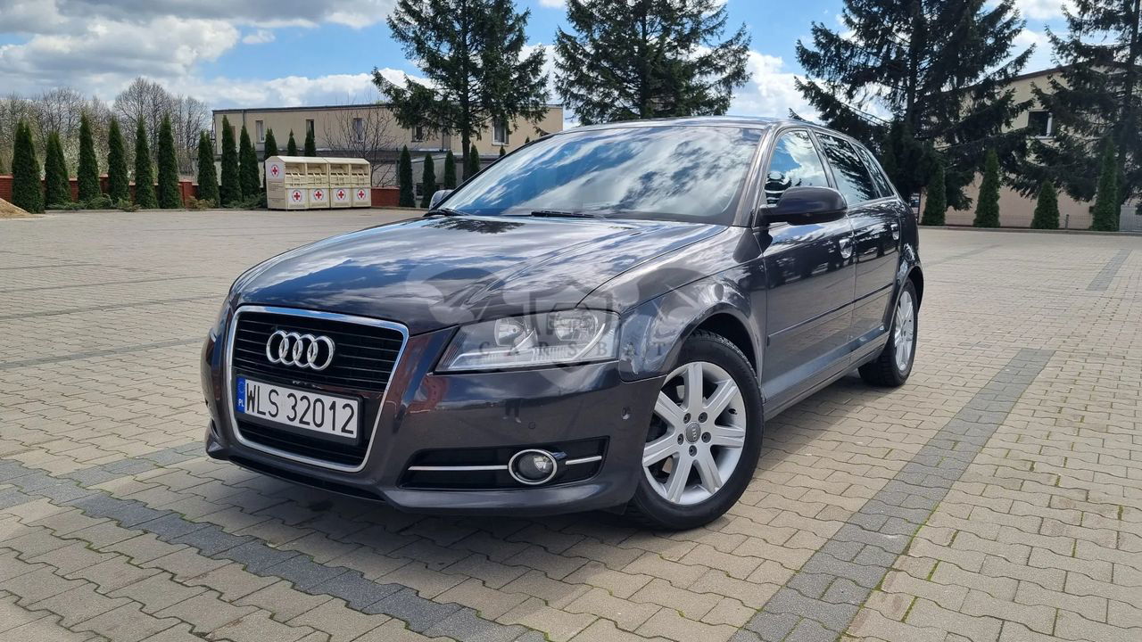 Audi A3 8P 1.6 TDI 102g Sportback DPF 2010