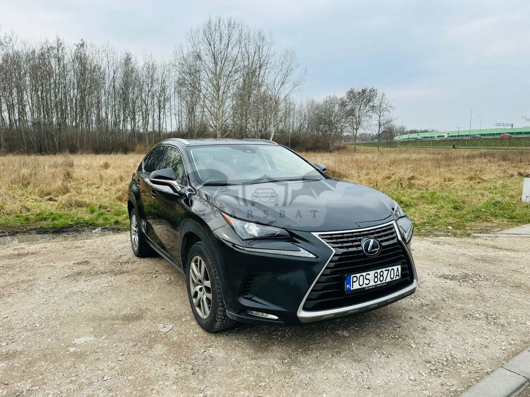 Lexus NX I 300h Elegance + Business AWD 2020
