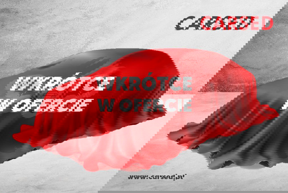 Seat Tarraco 2.0 Eco TSI Xcellence S&S 4Drive DSG 2020